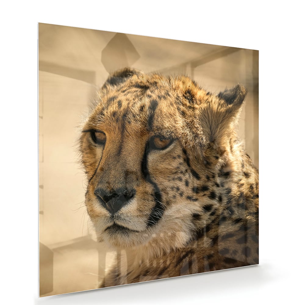 Glazen schilderij van een luipaard hangt aan de muur in een stijlvolle woonkamer.