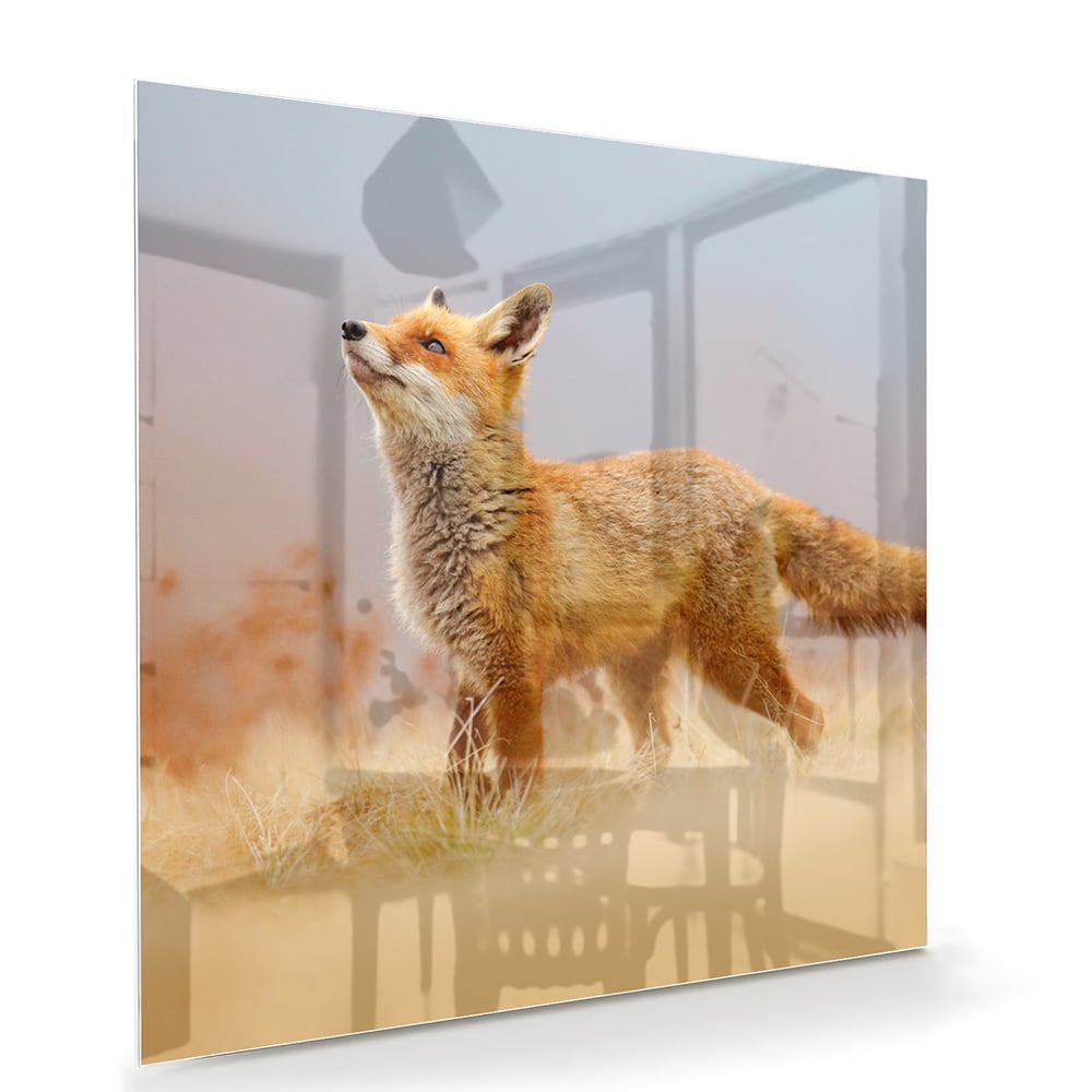 Glazen schilderij van een vos die in de natuur staat, perfect voor moderne interieurs.