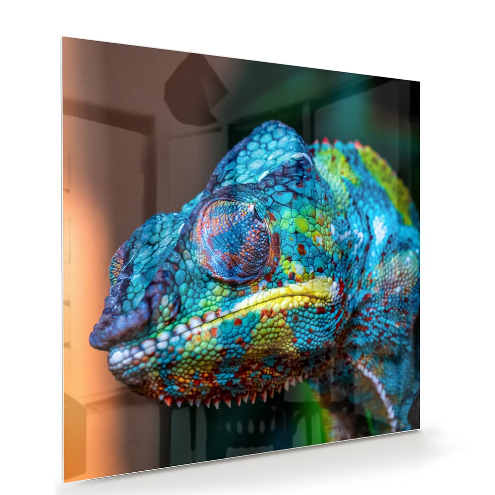 Glazen schilderij van een kleurrijk chameleon hangt aan de muur