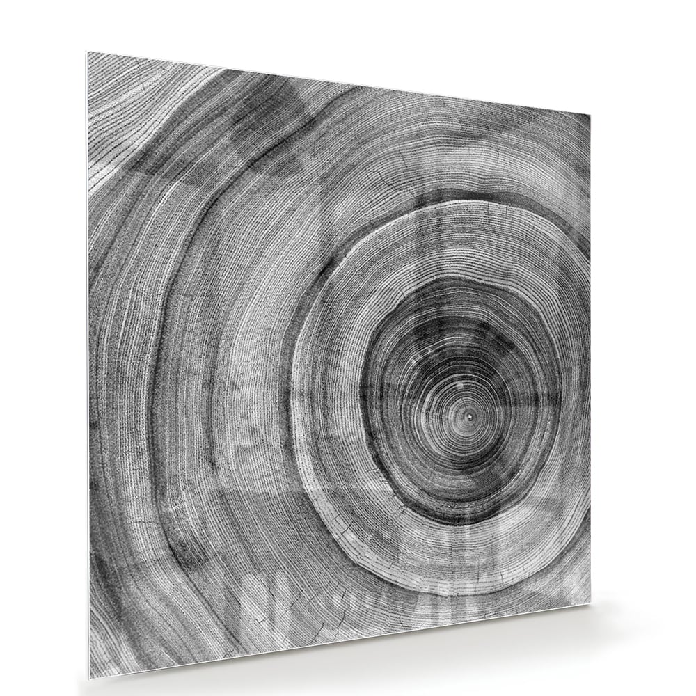 Abstract glazen schilderij in grijstinten met cirkels aan de muur