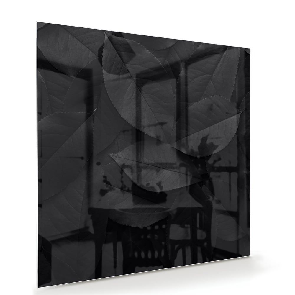 Glazen schilderij met bladeren in zwart en grijs, stijlvol in een moderne woonkamer.