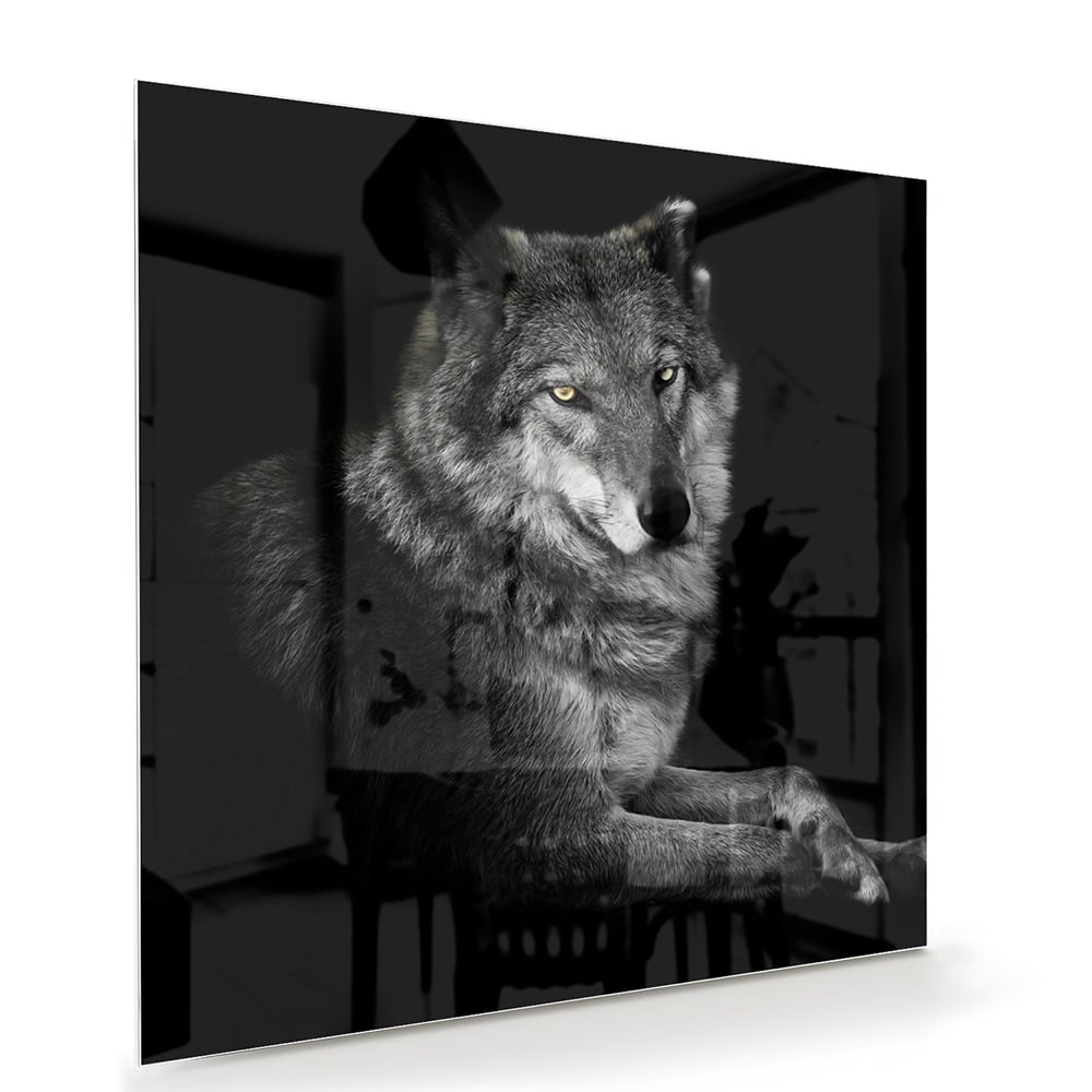 Glas schilderij van een wolf in zwart-wit, perfect voor wanddecoratie.