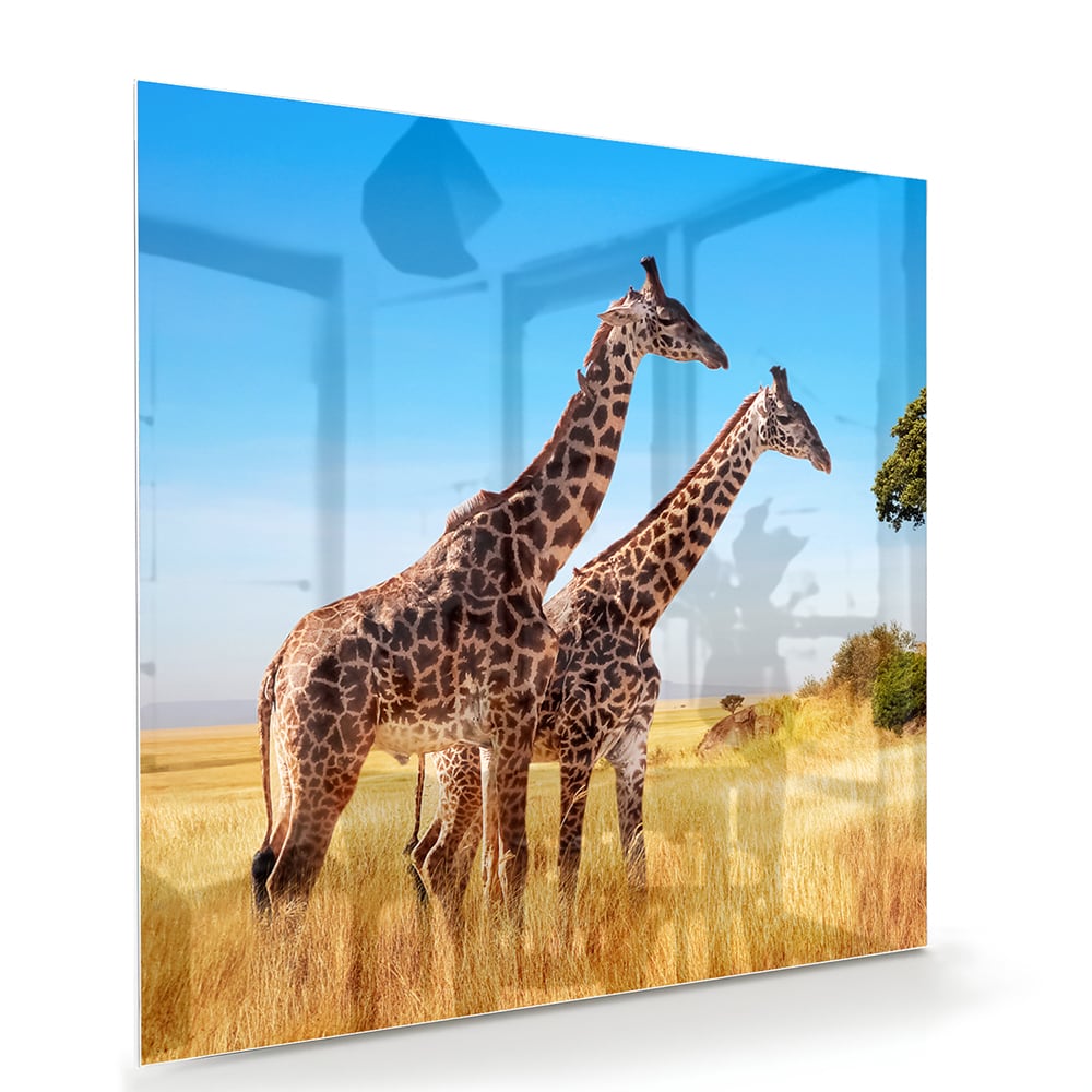 Glazen schilderij van twee giraffen in een Afrikaans landschap