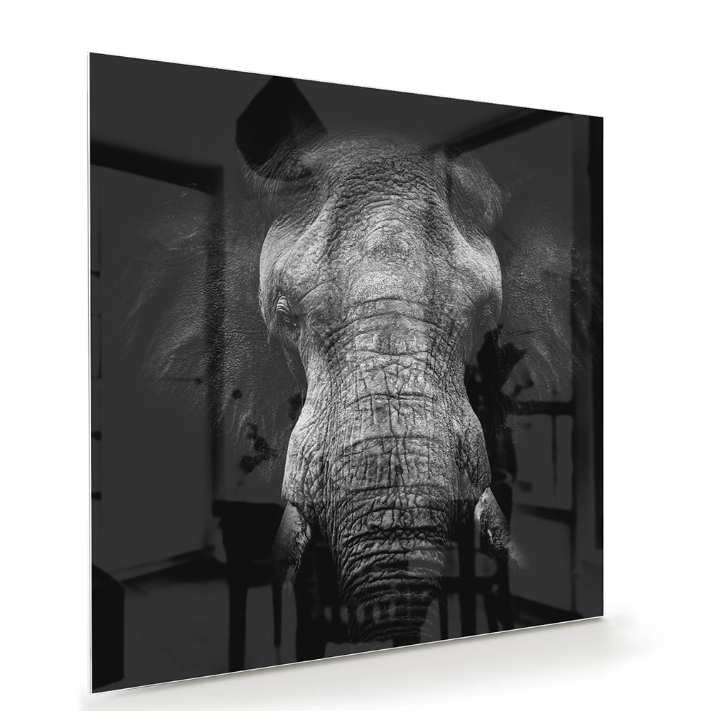 Glazen schilderij van een olifant in zwart-wit, perfect voor interieurdecoratie.