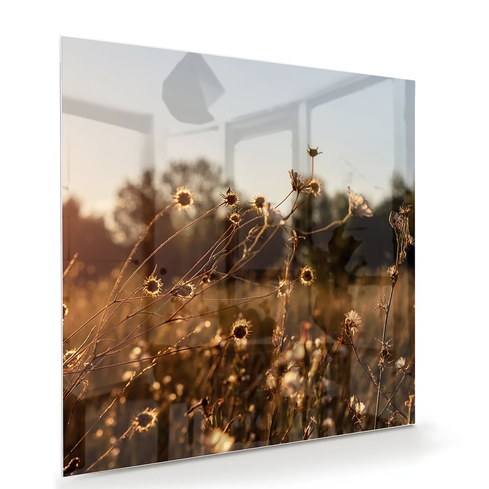 Glazen schilderij van een zonsondergang met bloeiende bloemen, hangend aan een witte muur.