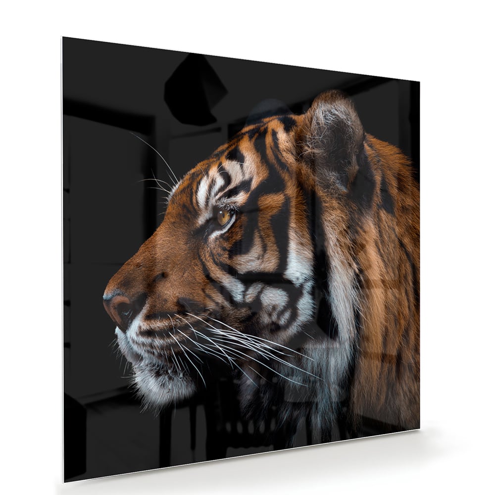 Glazen schilderij van een tijger met focus op het hoofd.