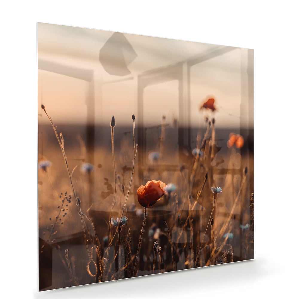 Glazen schilderij van een poppy veld bij zonsondergang, met warme kleuren.