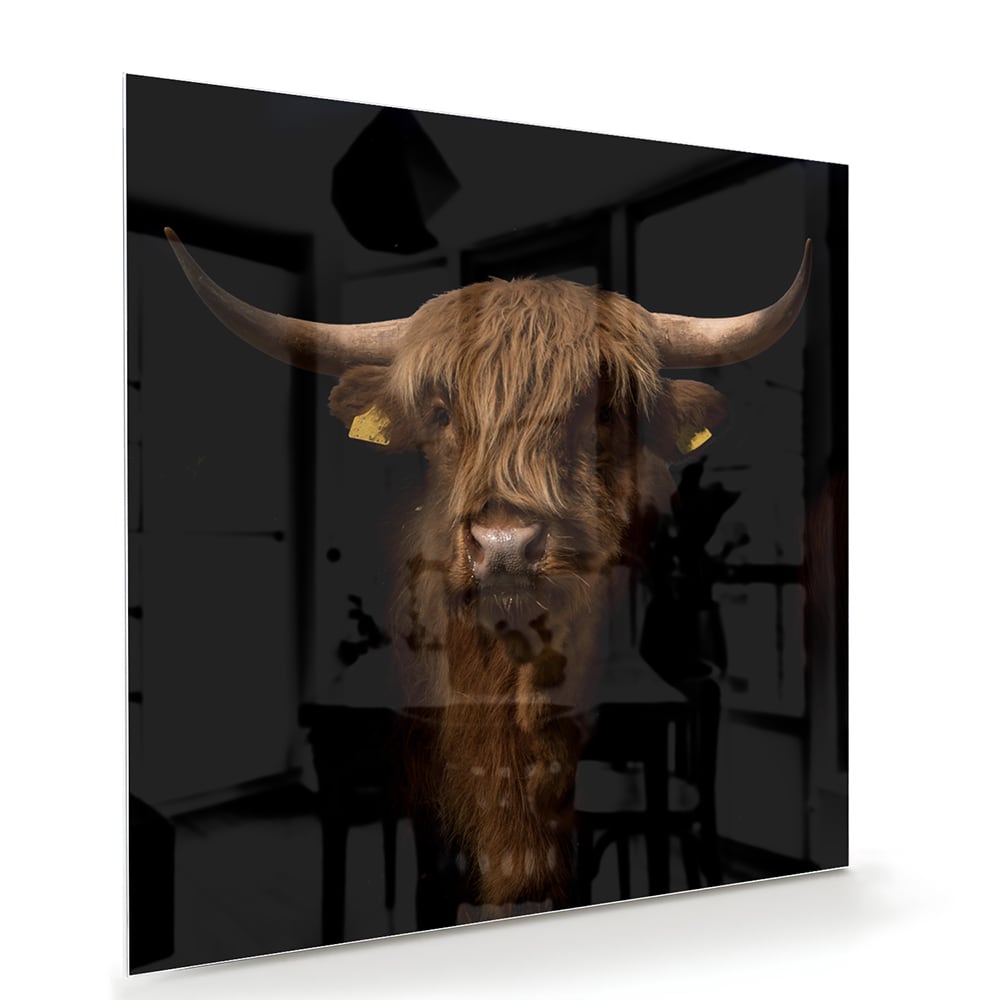 Glazen schilderij van een hooglander, een krachtige uitstraling in interieurdecoratie.
