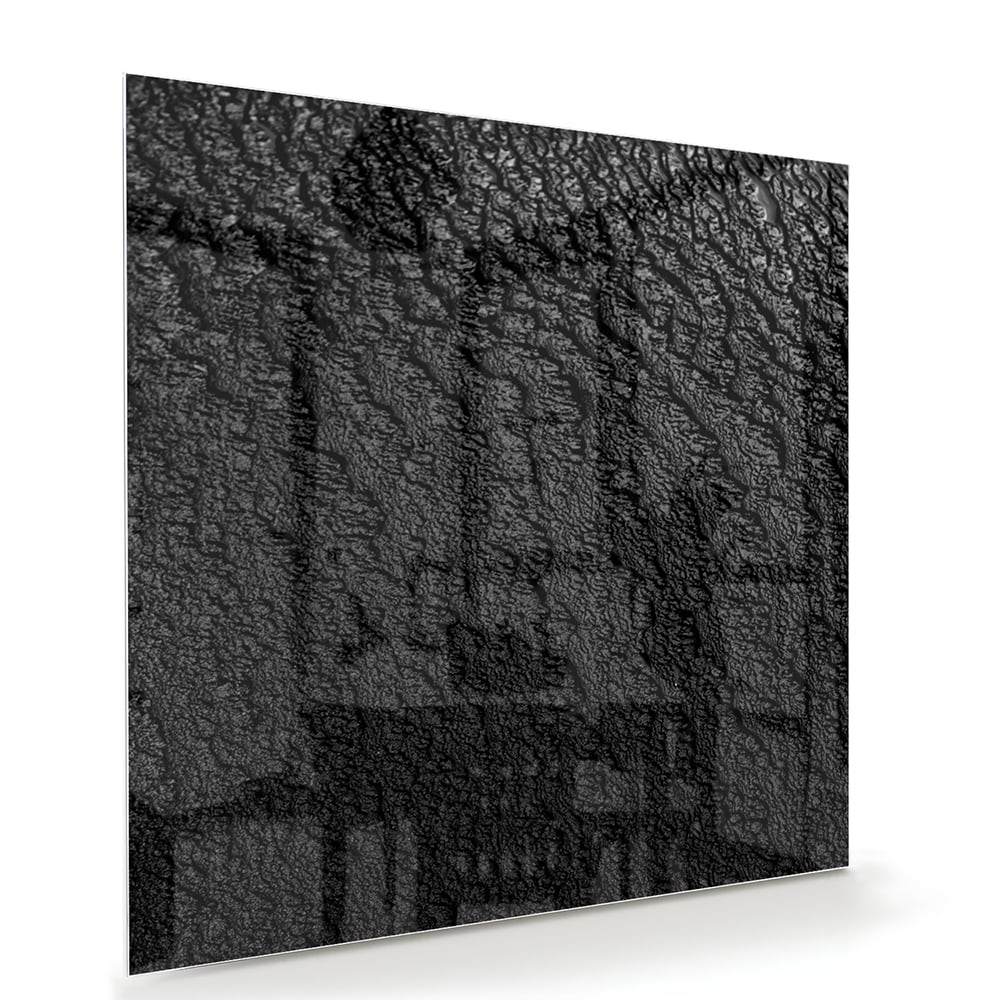 Zwart glazen schilderij aan een witte muur in een moderne woonkamer.