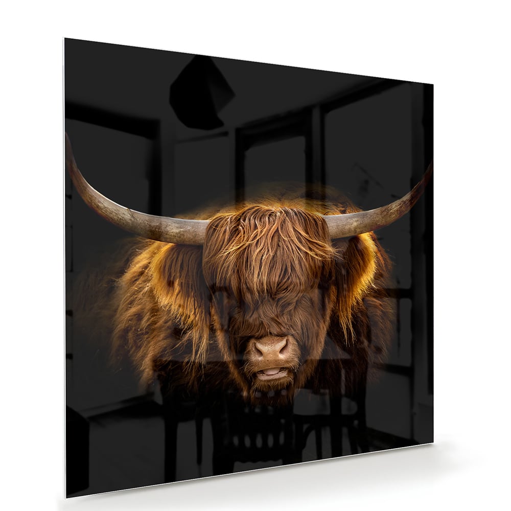 Glazen schilderij van een Highlander rund met lange hoorns en vacht op een zwarte achtergrond.