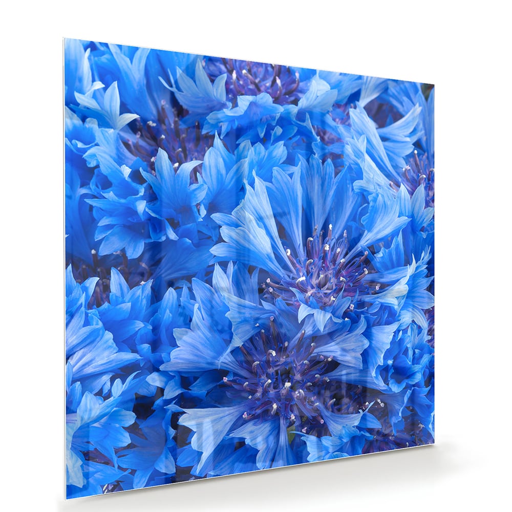 Glazen schilderij met een prachtig blauw bloemenmotief aan de muur