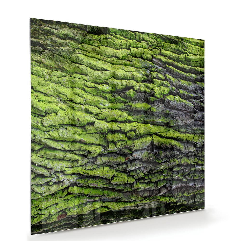 Glazen schilderij met groene mosachtige textuur aan een muur