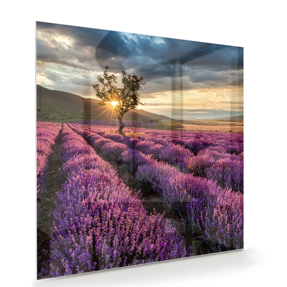 Glazen schilderij van paarse lavendelvelden tijdens de zonsondergang