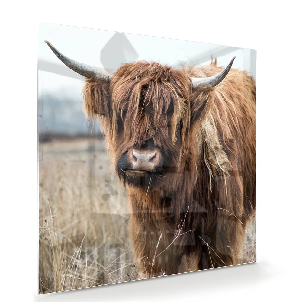 Glazen schilderij met een Houten Hooglander in een natuurlijke omgeving.