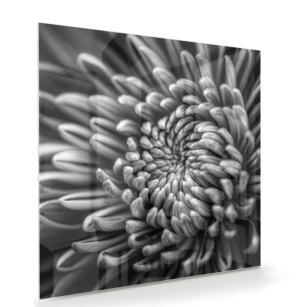 Zwart-wit glas schilderij van een kronkelige bloem aan de muur.