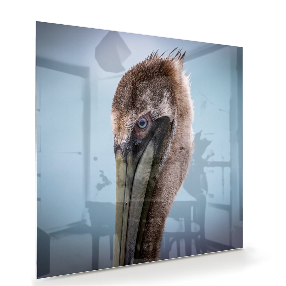 Glazen schilderij van een pelikan met een elegant design in een moderne woonkamer.