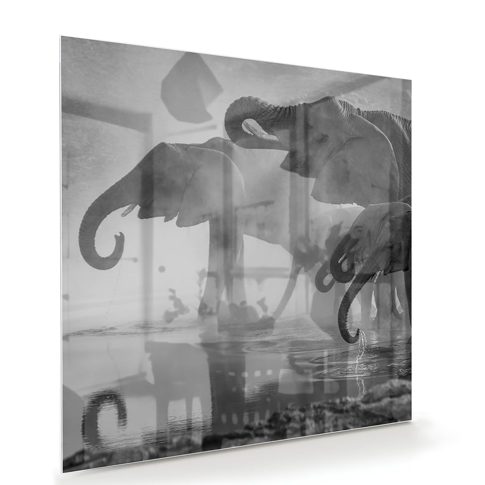Glazen schilderij van olifanten in een moderne woonkamer