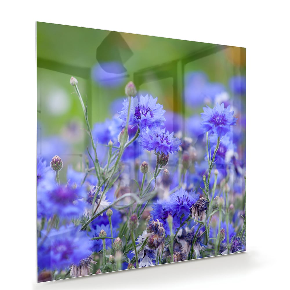 Glazen schilderij met paarse bloemen aan de muur in een lichte woonkamer.