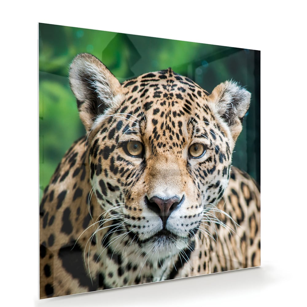 Glazen schilderij van een jaguar dat aan de muur hangt in een moderne woonkamer.