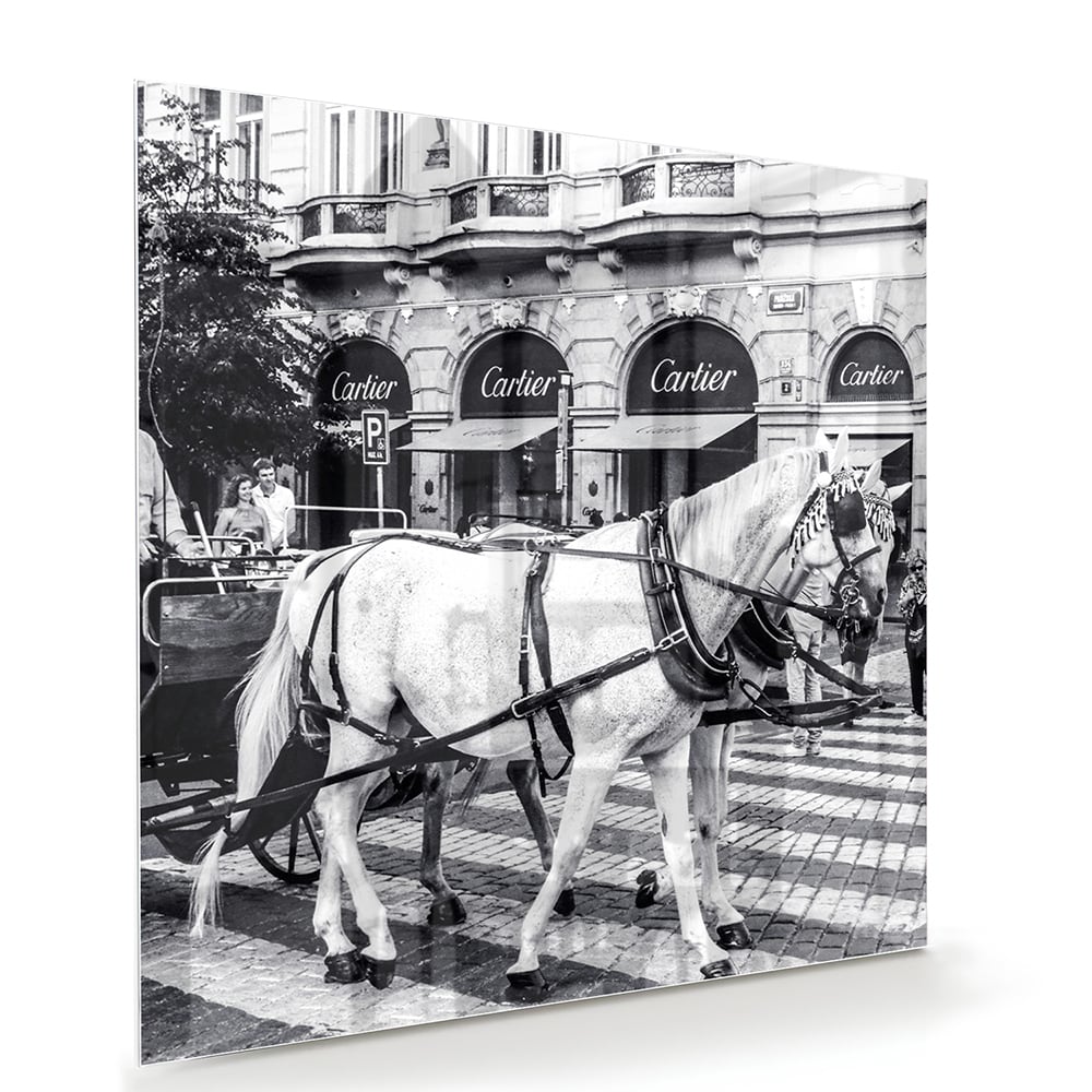 Glazen schilderij van een paard en koets in zwart-wit uitvoering