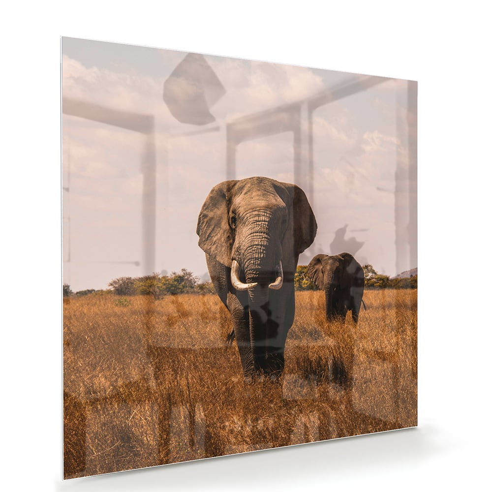 Glazen schilderij van twee olifanten in een gouden graslandschap