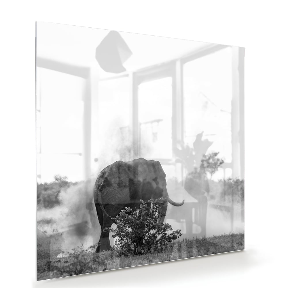 Zwart-wit glazen schilderij van een olifant aan de muur in een modern interieur.