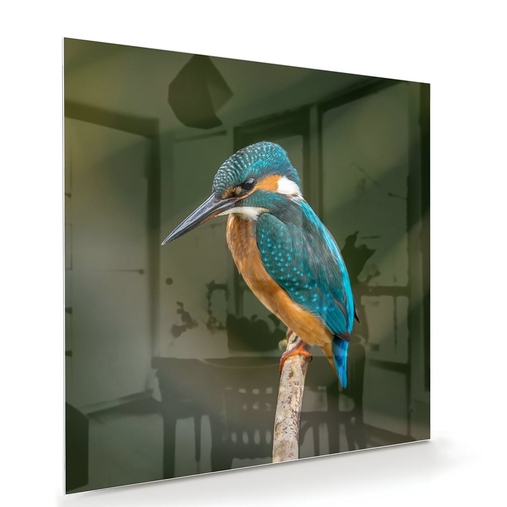 Een glazen schilderij van een ijsvogel die op een tak zit, kleurrijk en gedetailleerd.