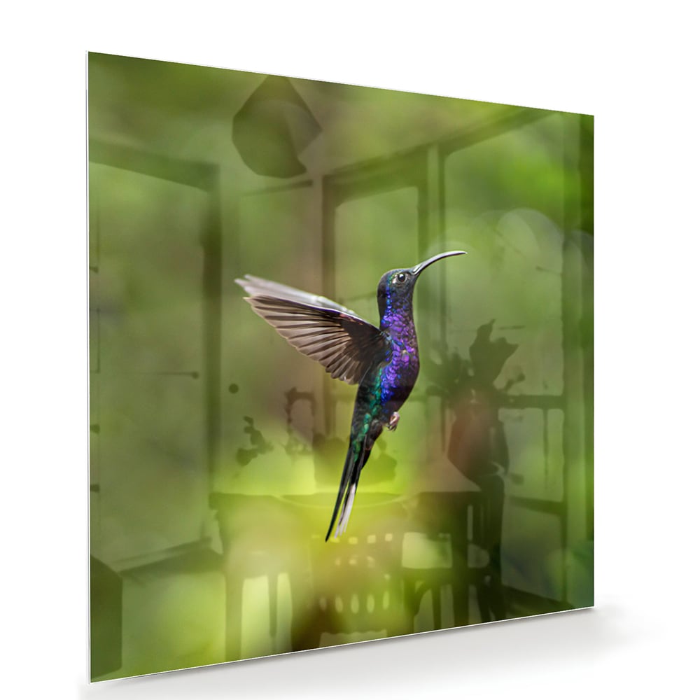 Een glazen schilderij van een kolibrie die vloog voor een groene achtergrond in een lichte kamer.