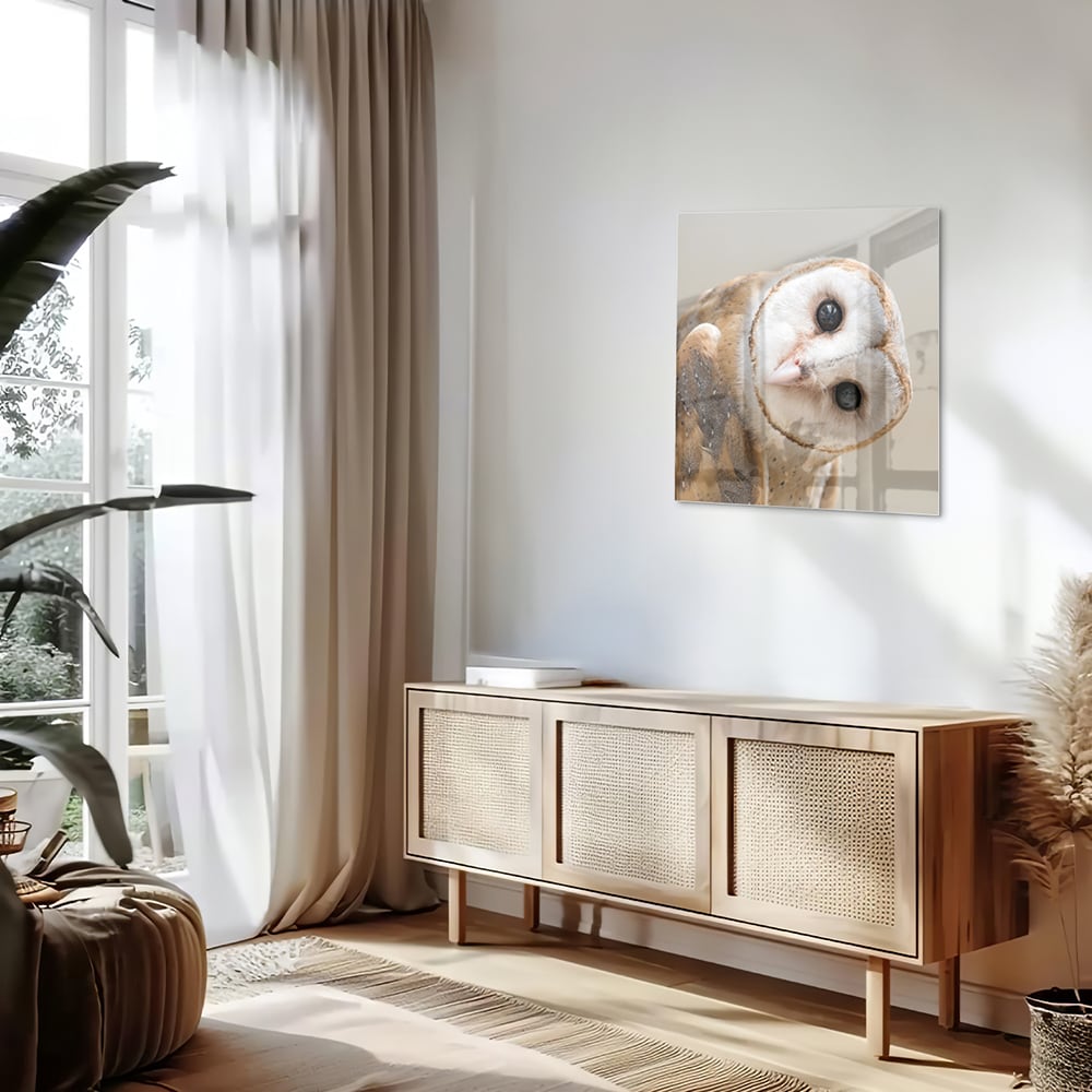 Glazen schilderij van een nieuwsgierige uil aan de muur in een moderne interieursetting.