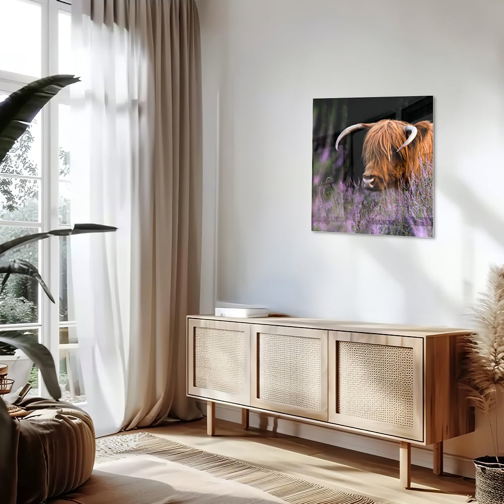 Glazen schilderij van een Schotse Hooglander met lavendel op de achtergrond.