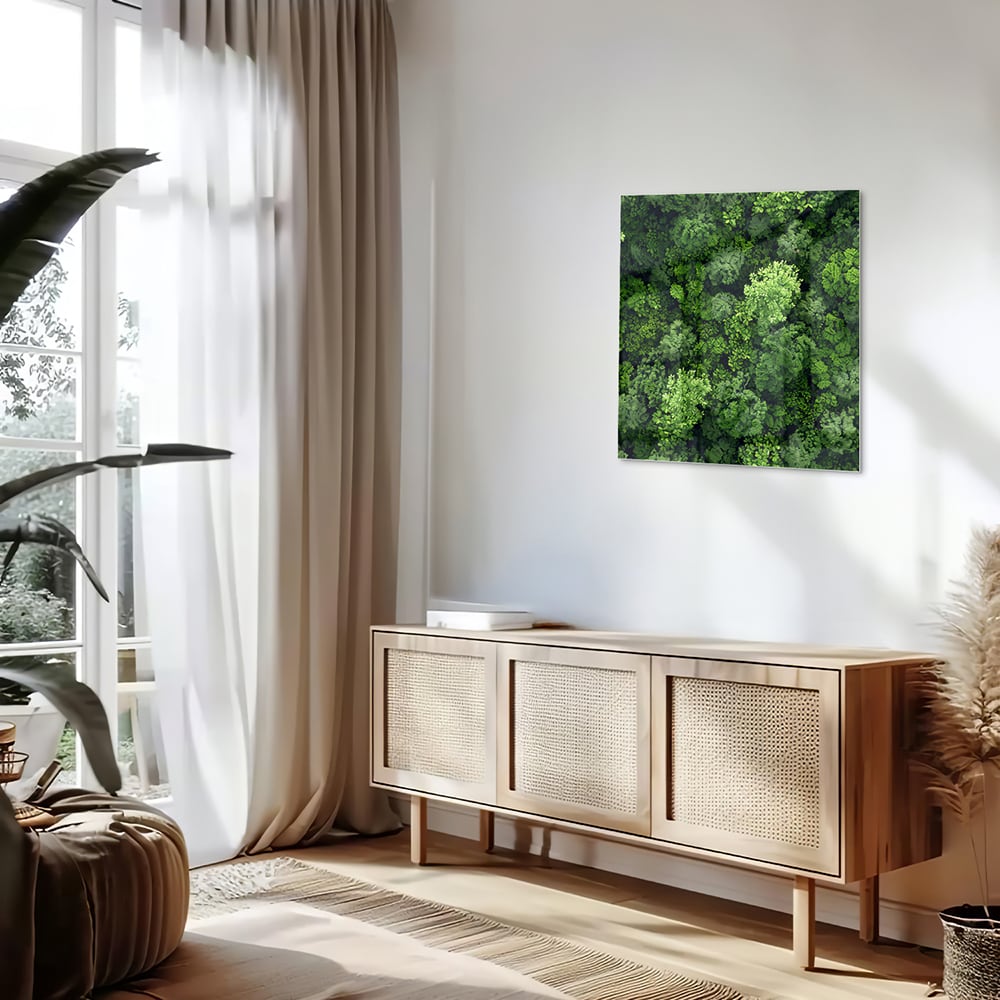 Luchtfoto van een weelderig groen bos op een muur in een moderne kamer.