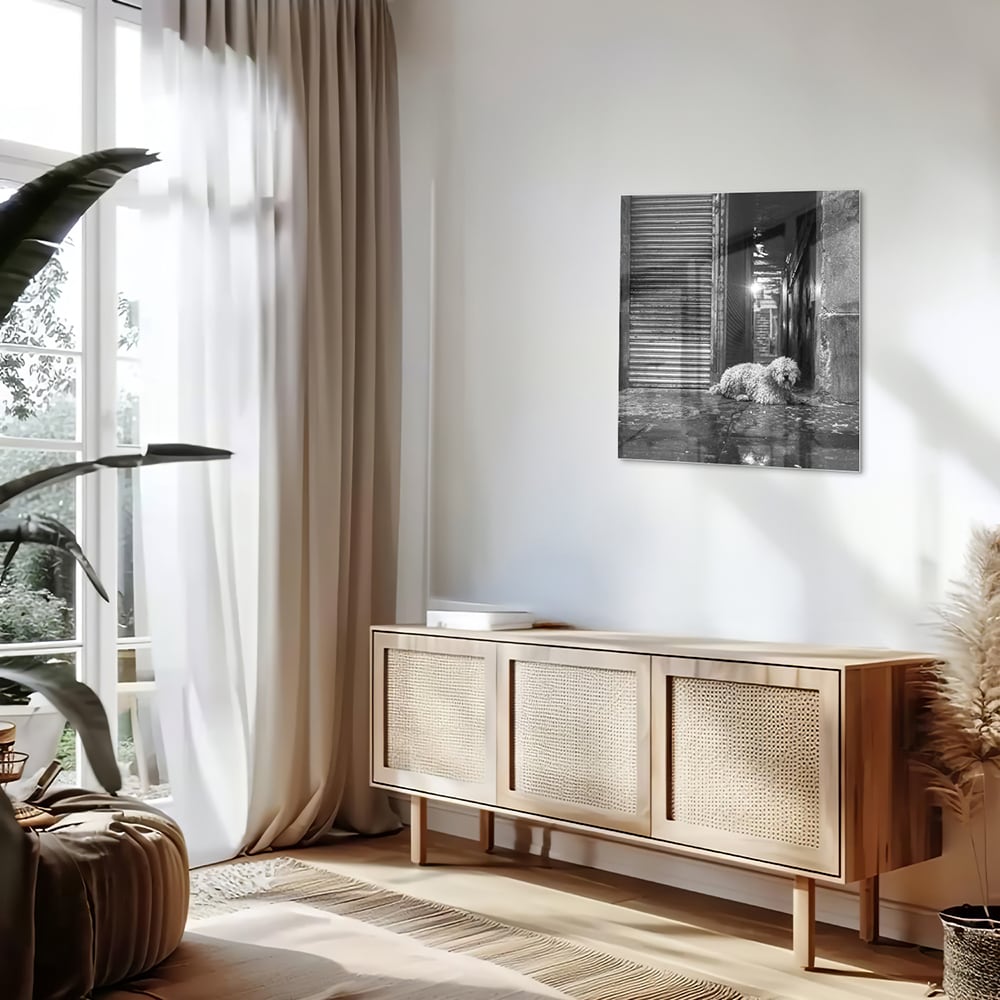 Zwart-wit glazen schilderij van een hond in een regenachtige straat