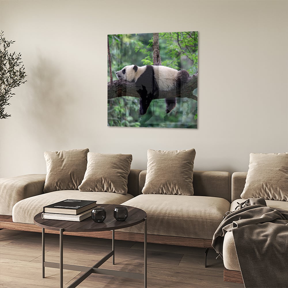 Glazen schilderij van een panda die ontspannen op een tak ligt.