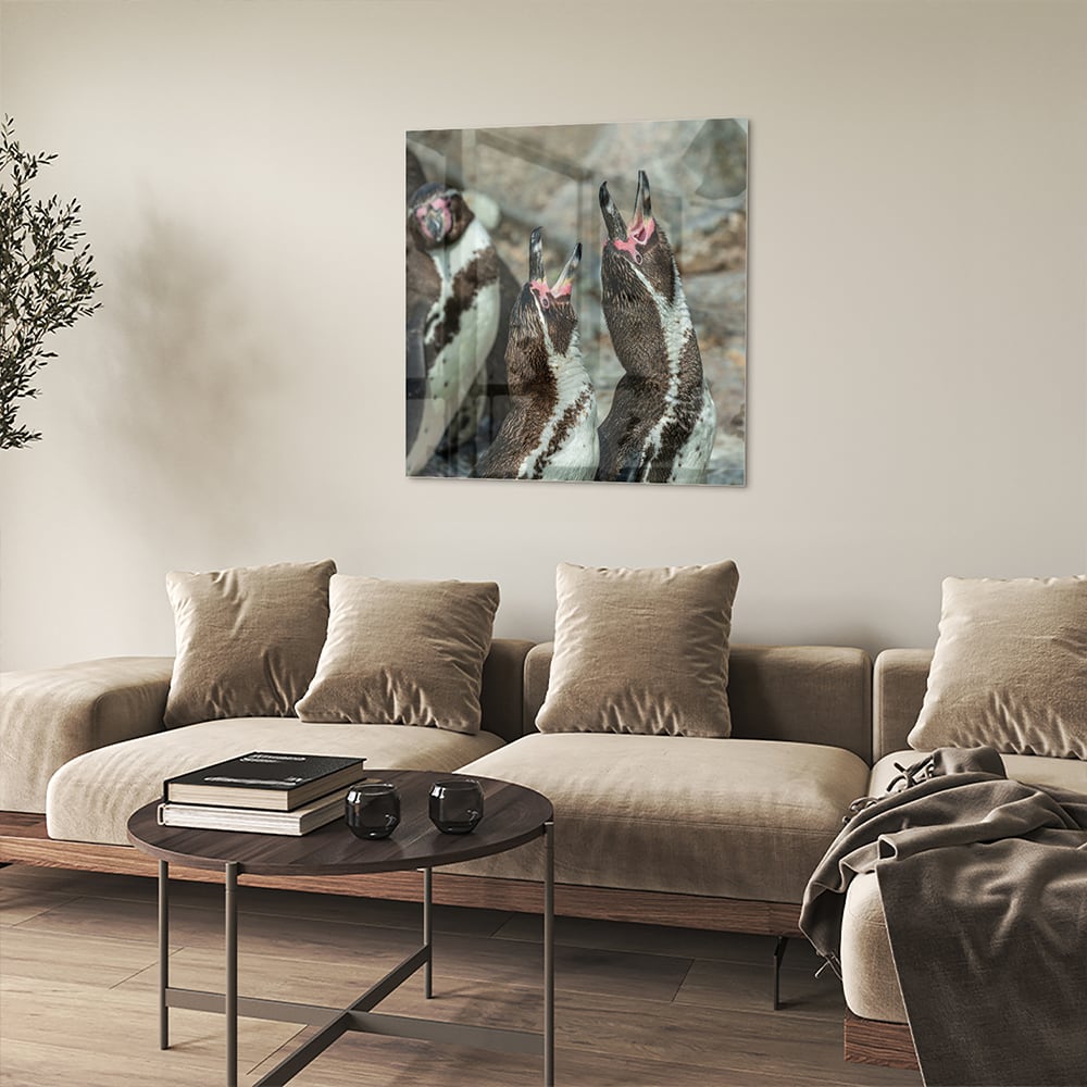 Glas schilderij met vrolijke pinguns op een muur in een modern interieur.