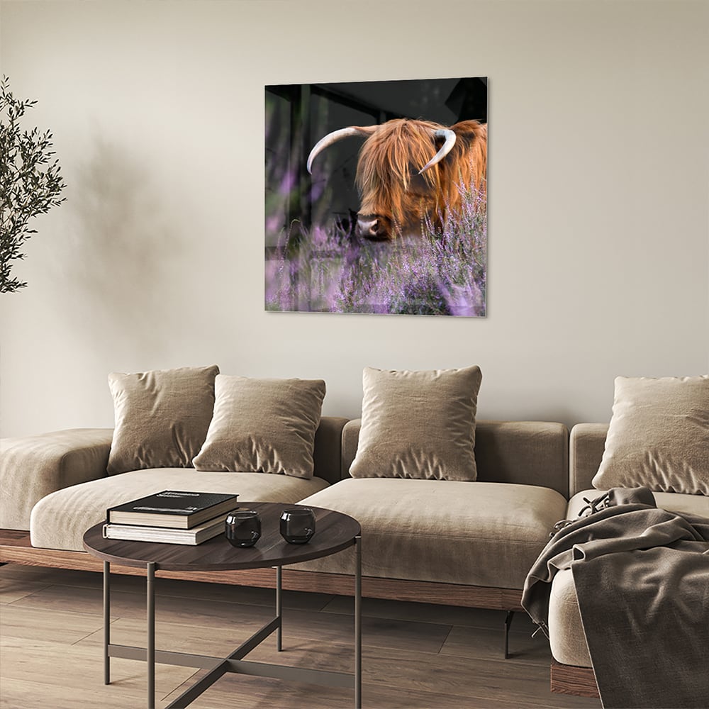 Glazen schilderij van een Schotse Hooglander met lavendel op de achtergrond.