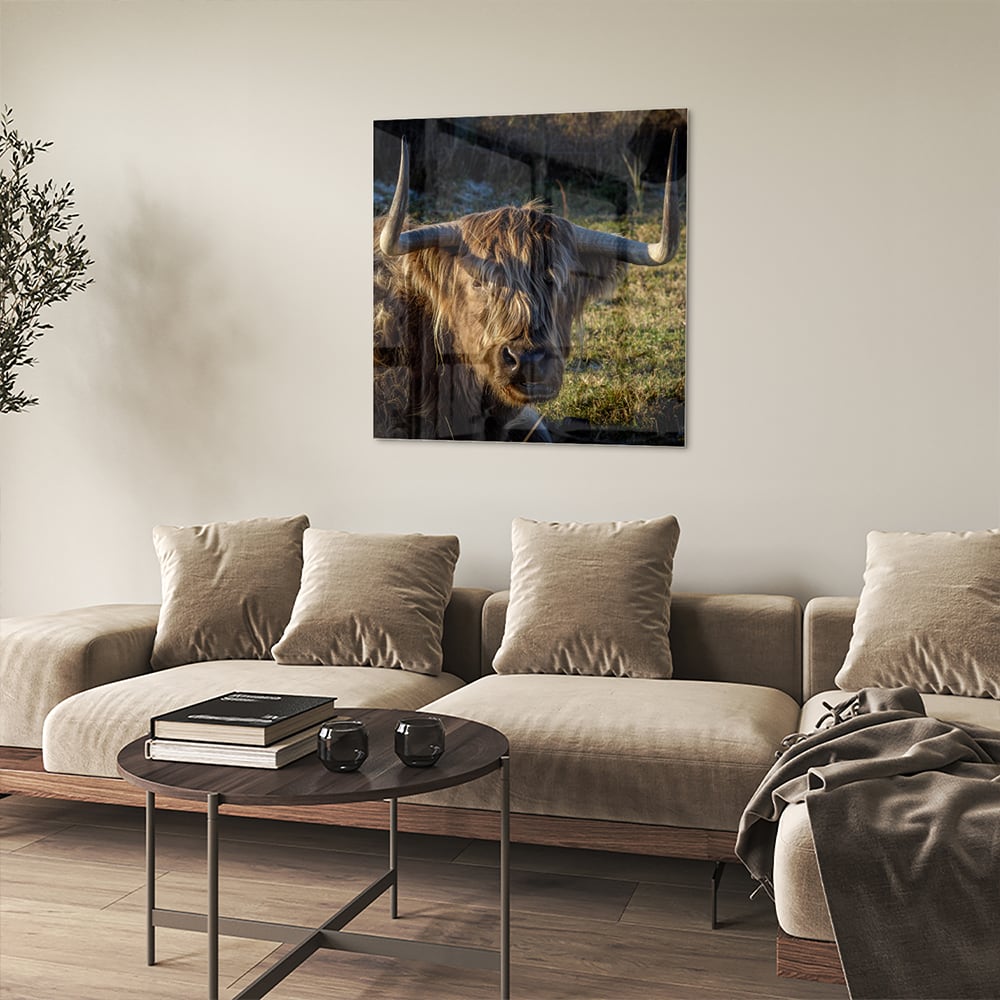 Glazen schilderij van een Highlander rund in een groene omgeving