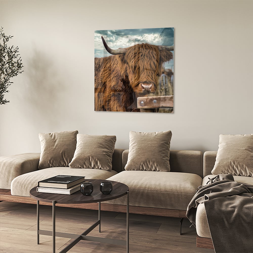 Glas schilderij van een Highlander koe met een mooie achtergrond.