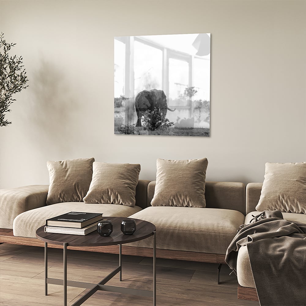 Zwart-wit glazen schilderij van een olifant aan de muur in een modern interieur.
