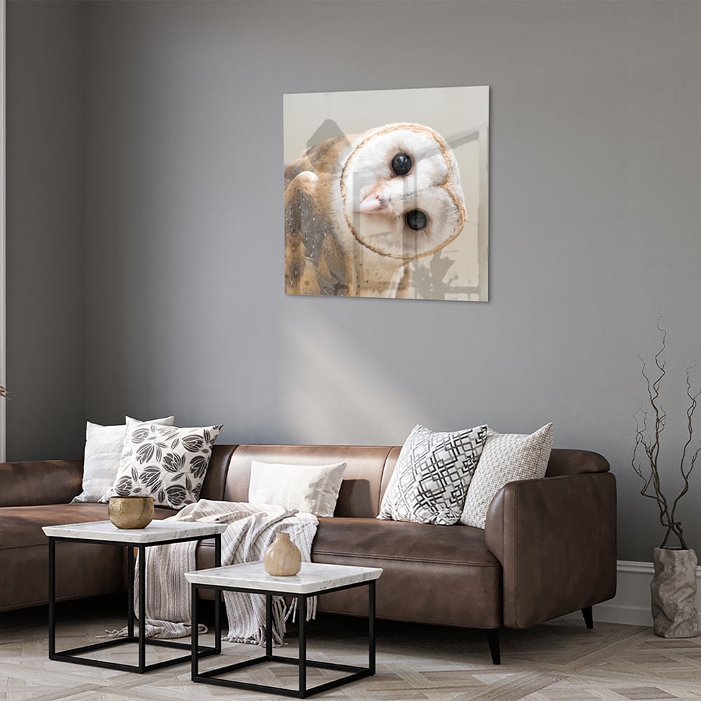 Glazen schilderij van een nieuwsgierige uil aan de muur in een moderne interieursetting.