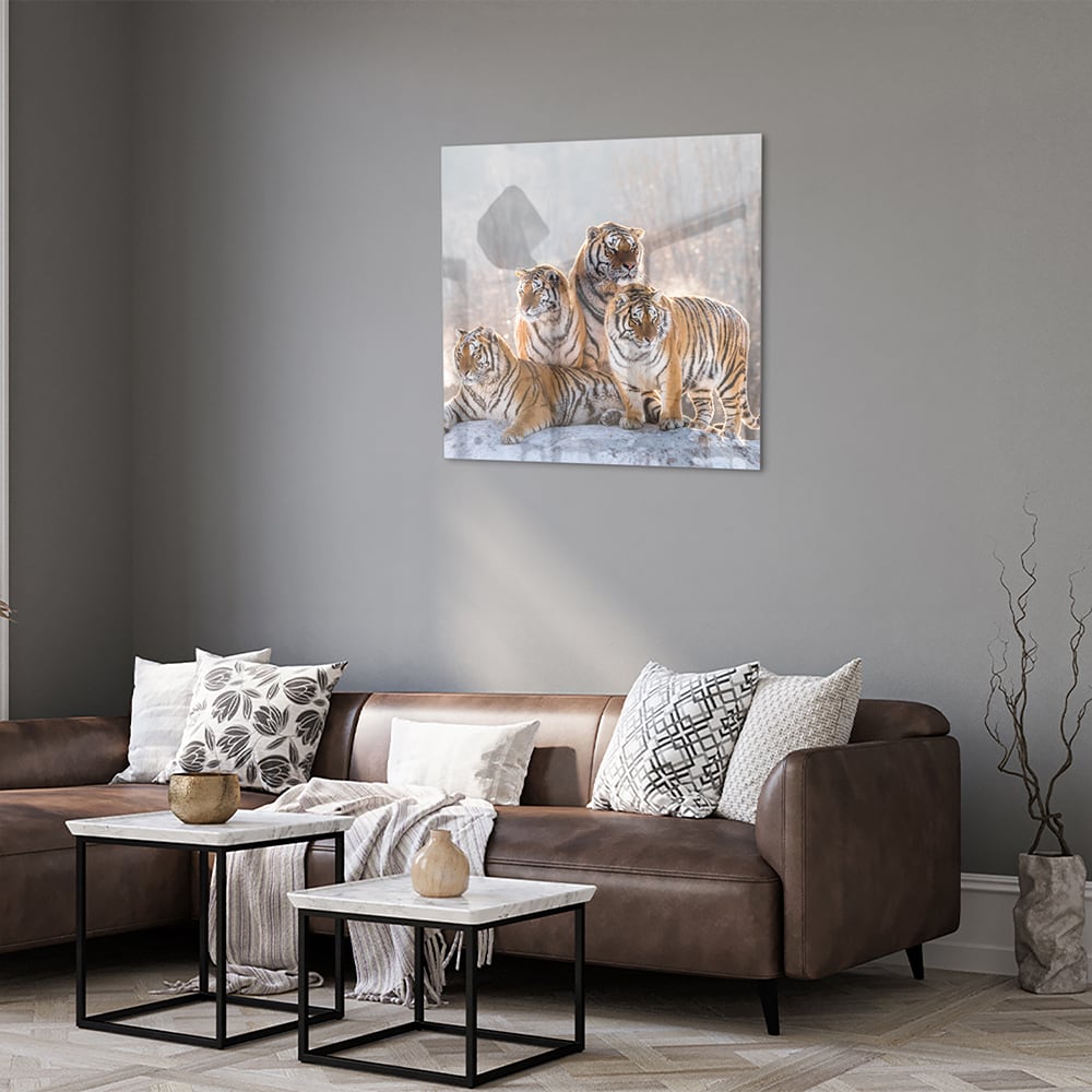 Glazen schilderij met drie tijgers in een moderne woonkamer.
