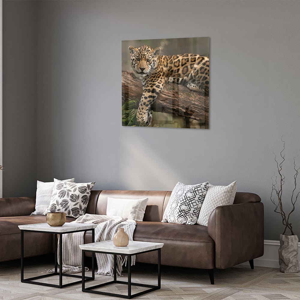 Glas schilderij van een jaguar die op een tak ligt, met een natuurlijke achtergrond.