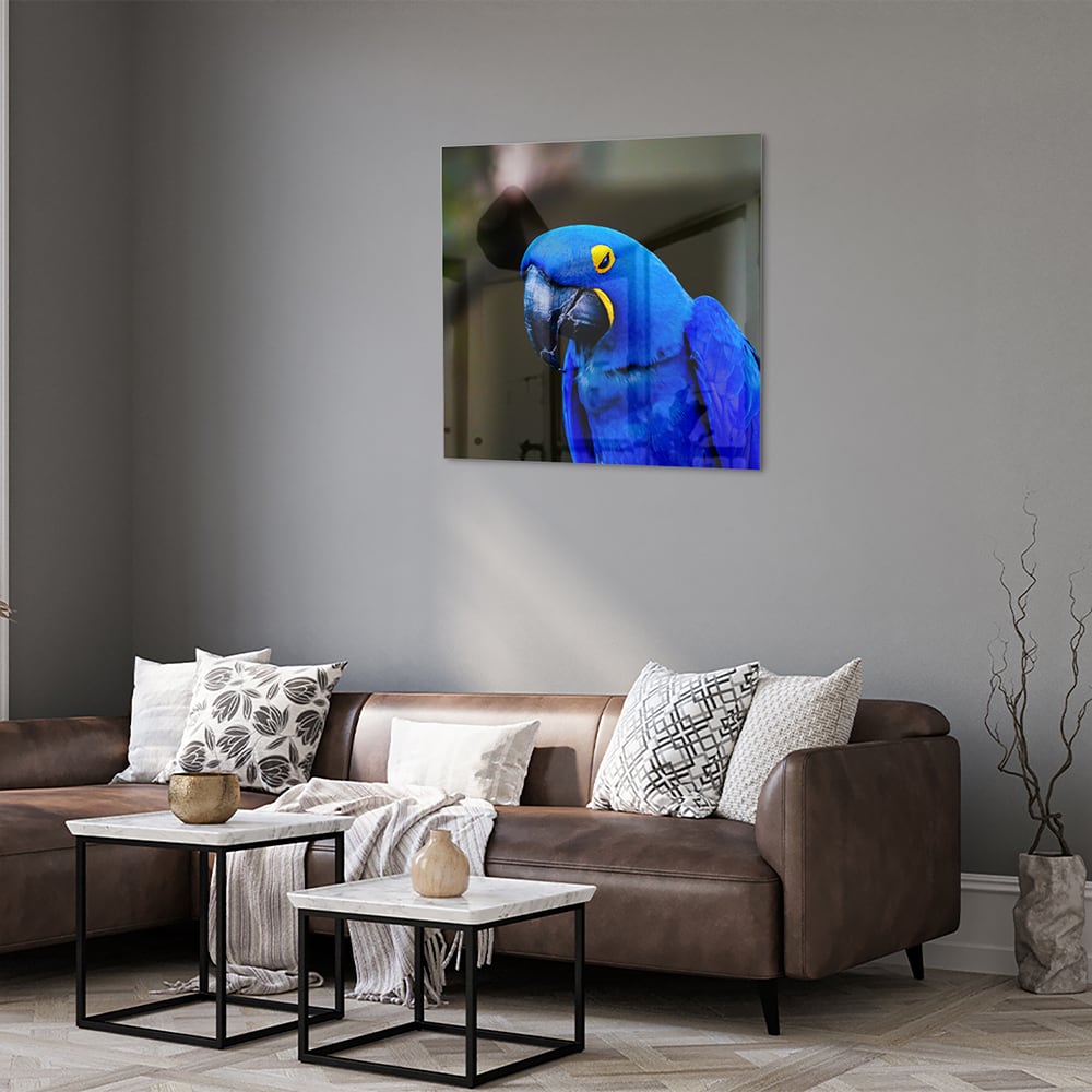 Glazen schilderij van een blauwe ara, ideaal voor wanddecoratie.