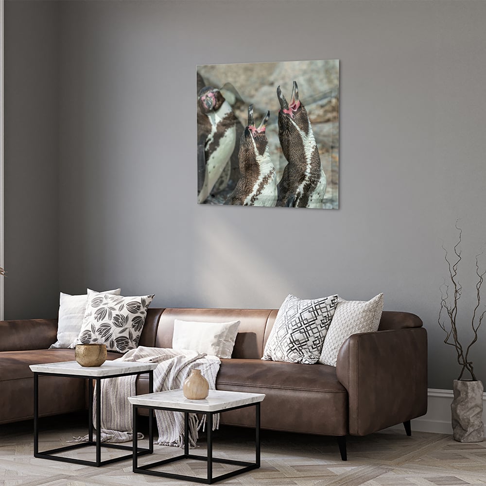 Glas schilderij met vrolijke pinguns op een muur in een modern interieur.