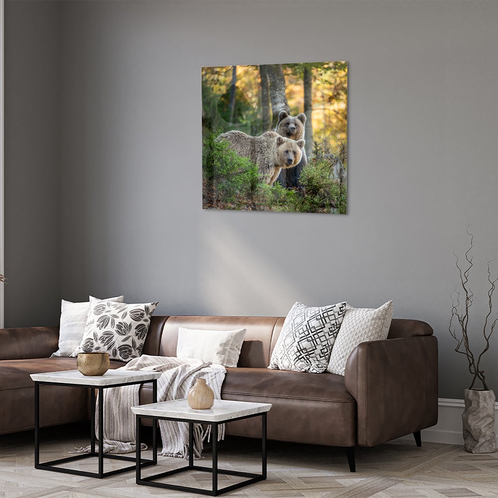 Glazen schilderij met twee schattige beren in een bosrijke omgeving