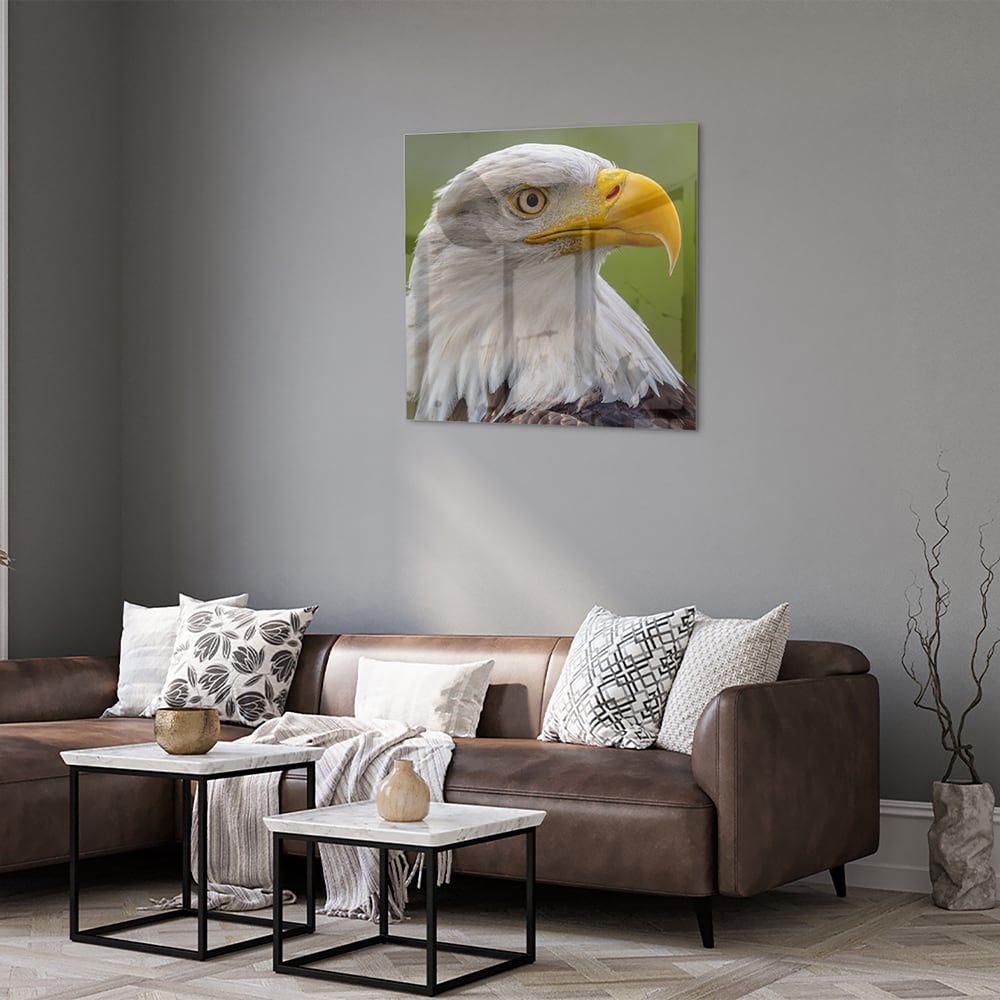 Een prachtig glazen schilderij van een Amerikaanse zeearend met een groene achtergrond.