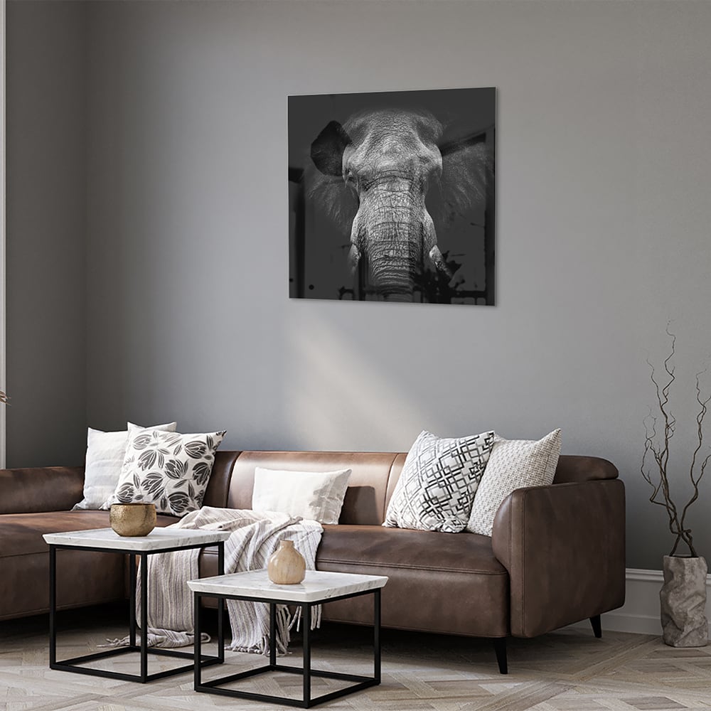 Glazen schilderij van een olifant in zwart-wit, perfect voor interieurdecoratie.