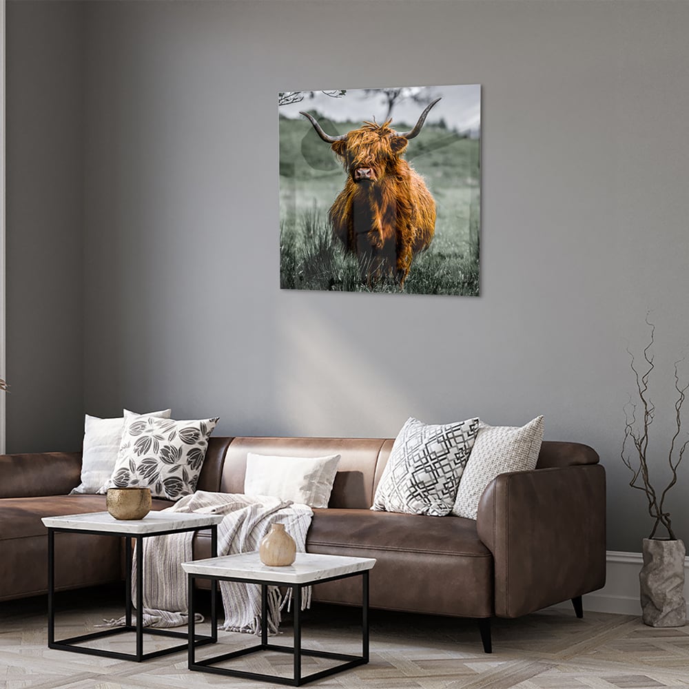 Schots Hooglander schilderij op glas in een groene omgeving.