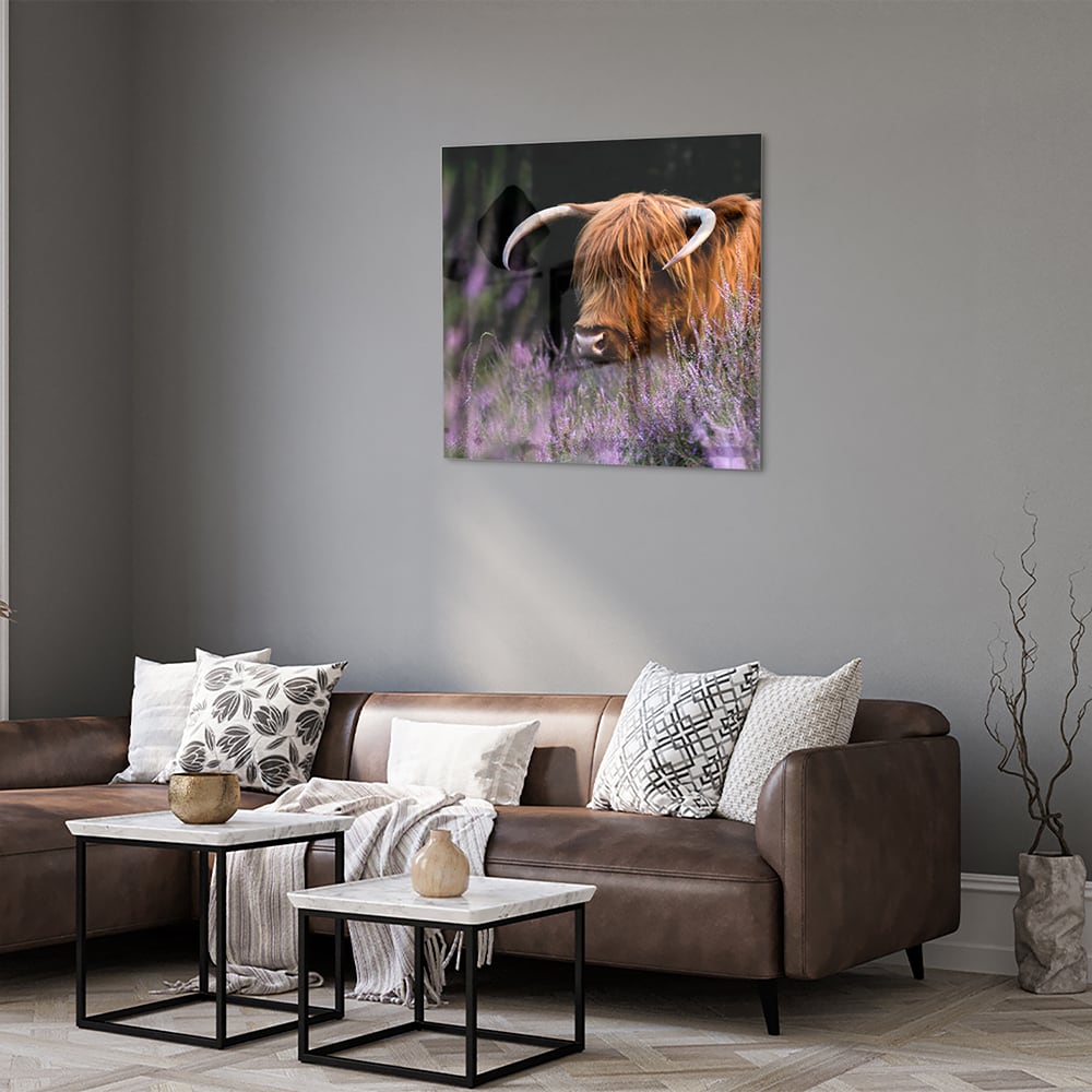 Glazen schilderij van een Schotse Hooglander met lavendel op de achtergrond.