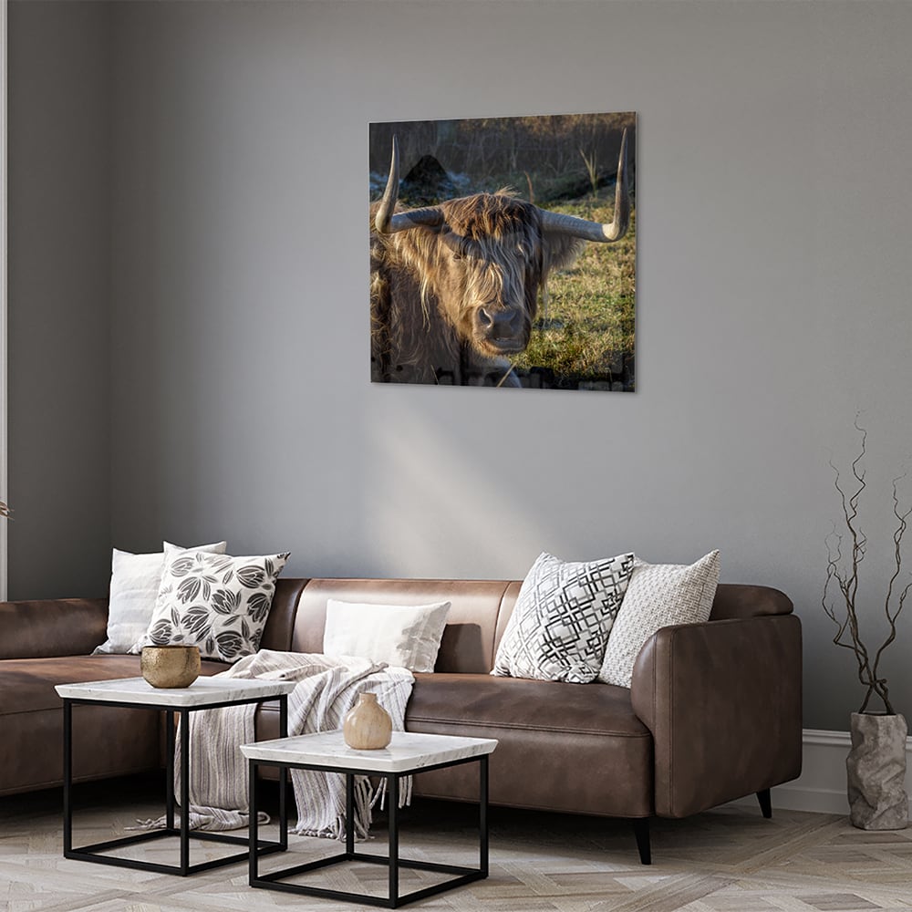 Glazen schilderij van een Highlander rund in een groene omgeving