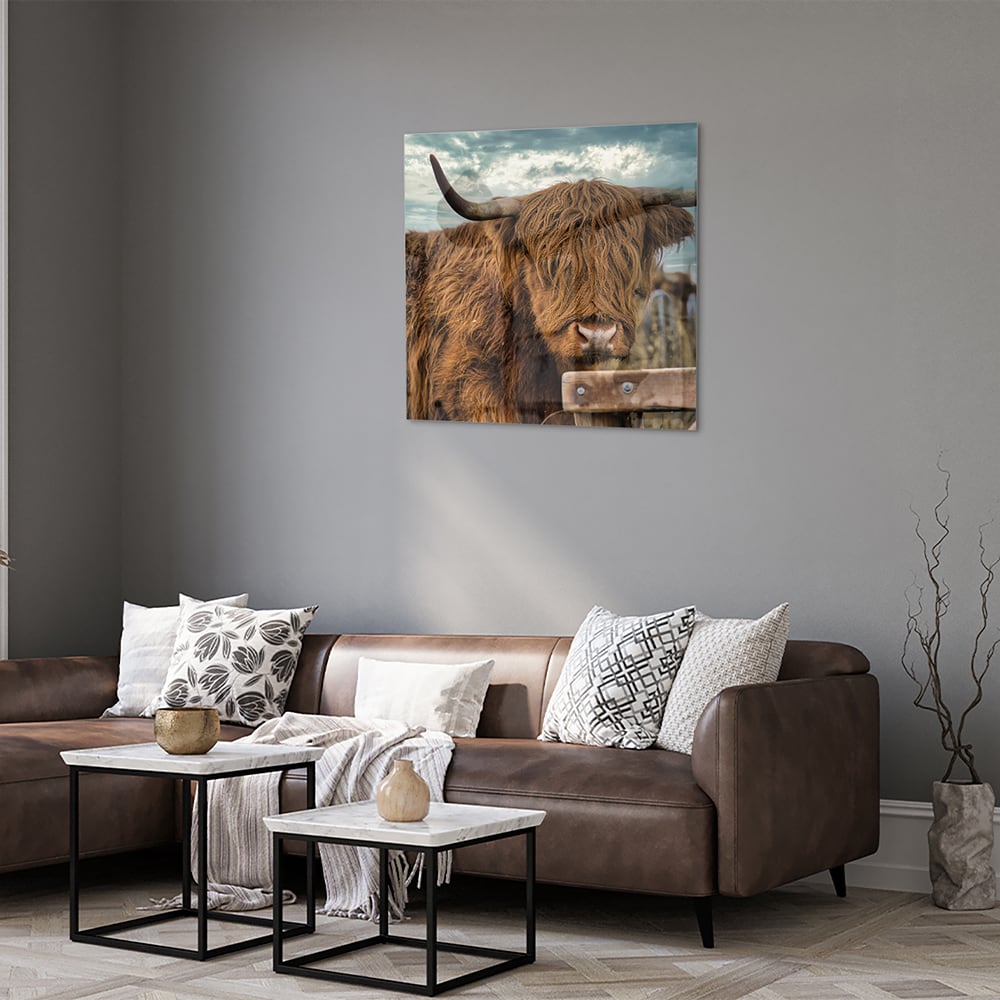 Glas schilderij van een Highlander koe met een mooie achtergrond.